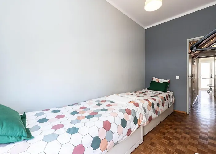 Akisol Sunny * 파로